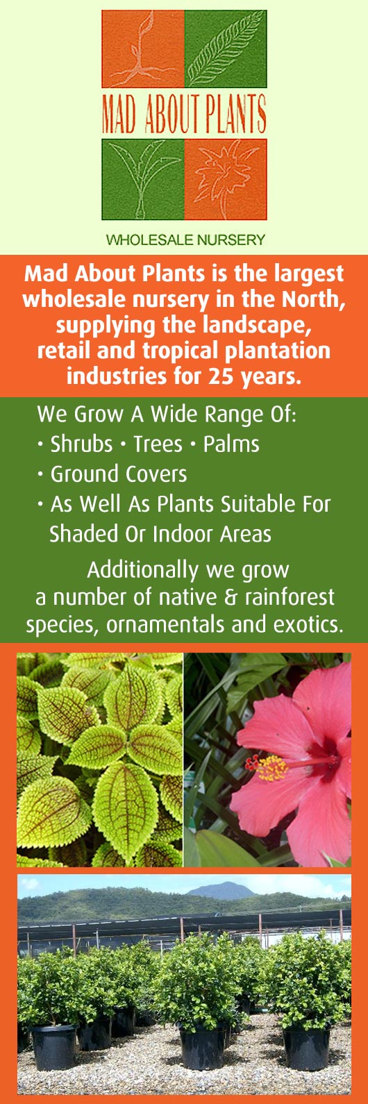 Mad About Plants