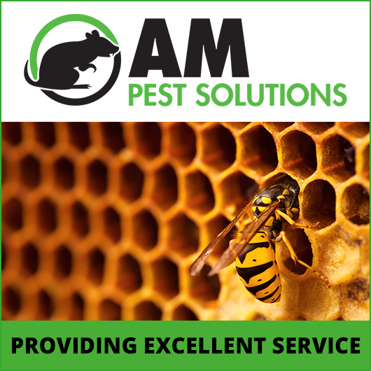AM Pest Solutions
