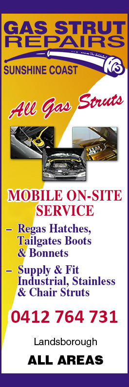 Gas Strut Repairs