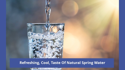 Devine Natural Spring Water Pty Ltd Hero Image