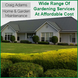 Craig Adams Home & Garden Maintenance Services