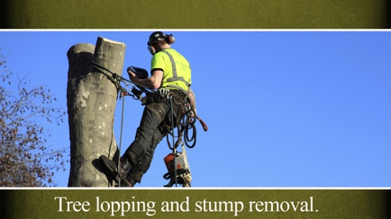 Amazing Grass Lawn Mowing Hero Image