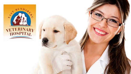 East Bundaberg Veterinary Hospital Hero Image