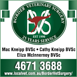 Border Veterinary Surgery Goondiwindi