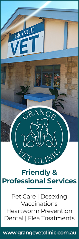 Grange Veterinary Clinic