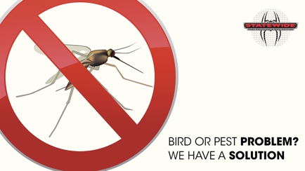 Statewide Pest Solutions And Bird Netting Hero Image