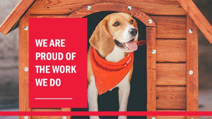 Peninsula Boarding Kennels Hero Image