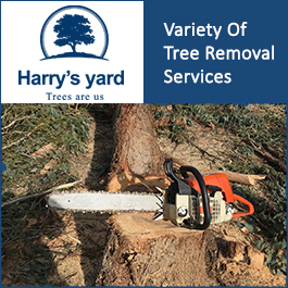 Harrys Yard