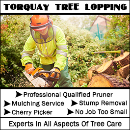 Torquay Tree Lopping