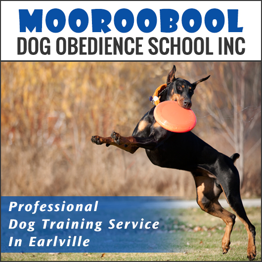 Mooroobool Dog Obedience School Inc