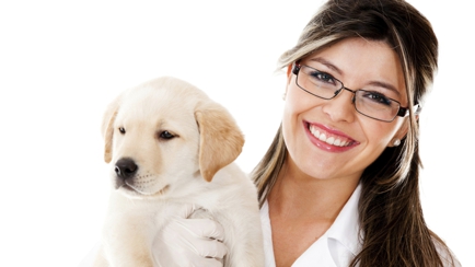 Moruya Veterinary Hospital Hero Image