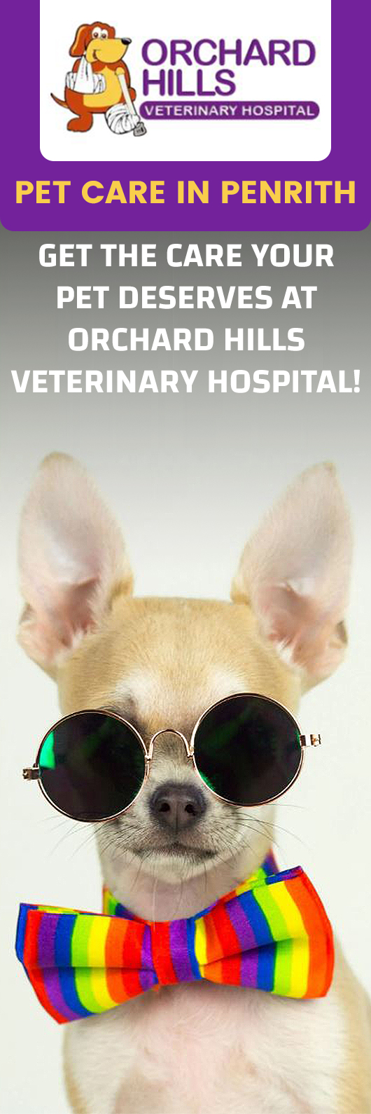 Orchard Hills Veterinary Hospital