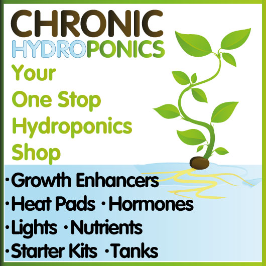 Chronic Hydroponics