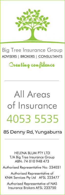 Big Tree Insurance Group