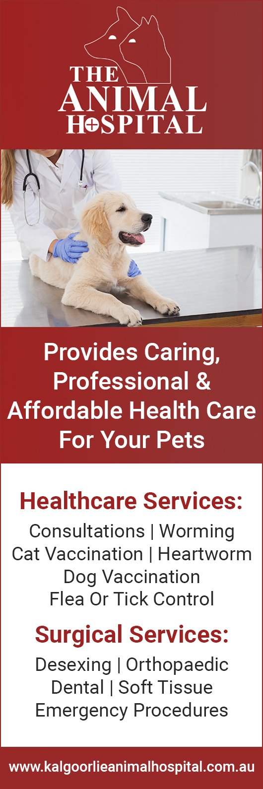 The Animal Hospital