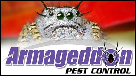 Armageddon Pest Control Hero Image