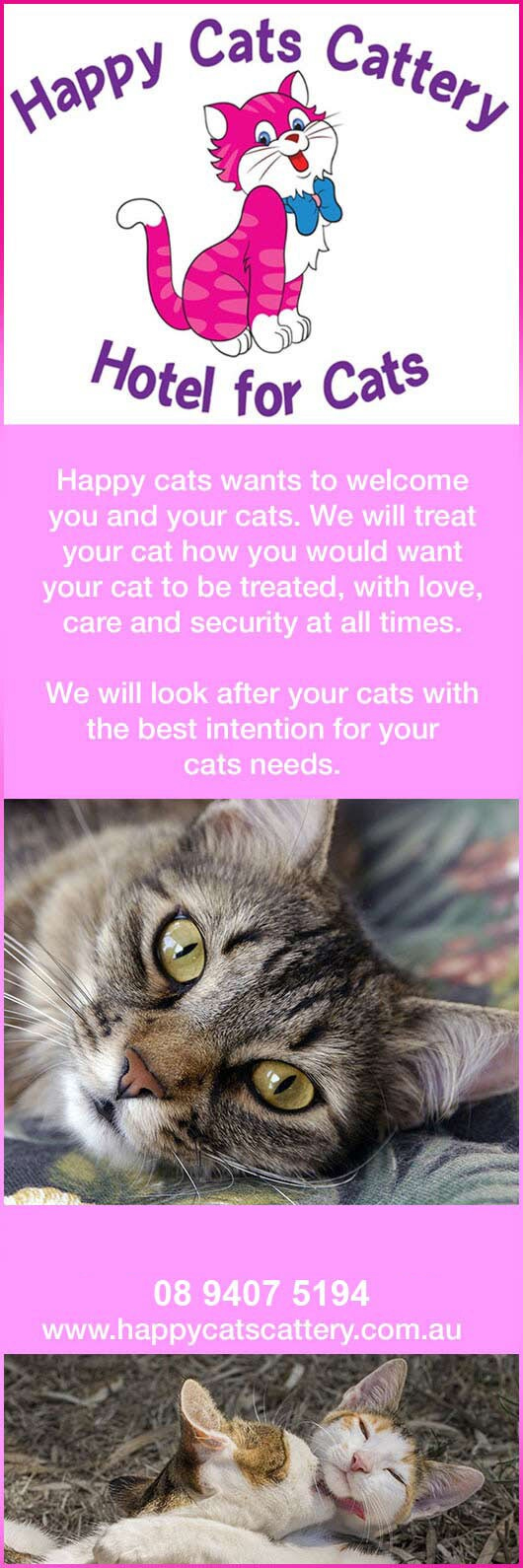 Happy Cats Cattery