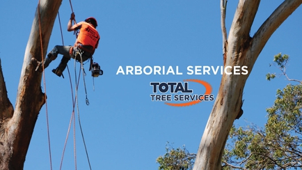 Total Tree Services Hero Image