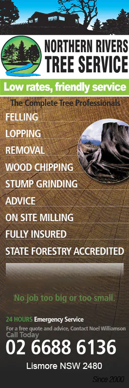 Northern Rivers Tree Service