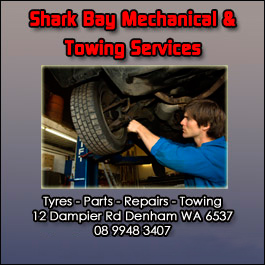 Pauls Tyre Service