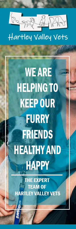 Hartley Valley Vets