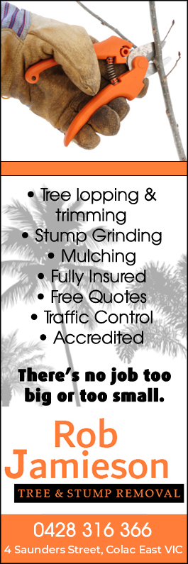 Rob Jamieson Tree & Stump Removal