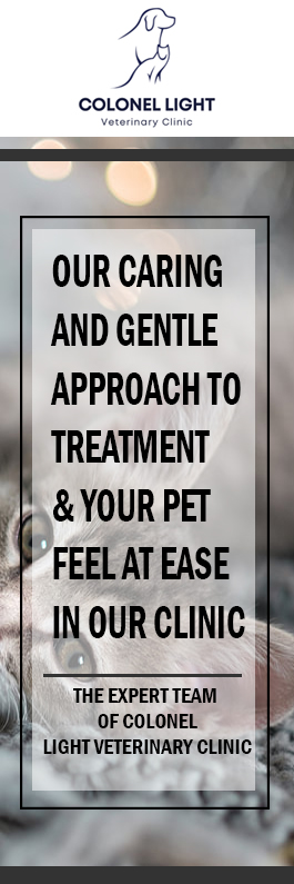 Colonel Light Veterinary Clinic