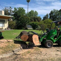 Local Tree Care Hero Image