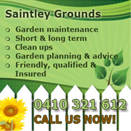 Saintley Grounds