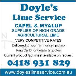 Doyle's Lime Service