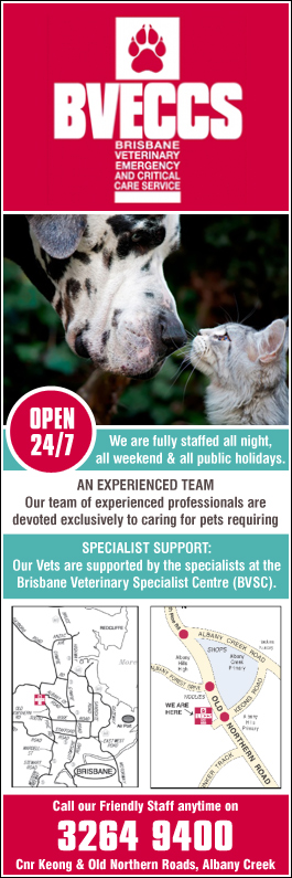 Brisbane Veterinary Emergency and Critical Care Service