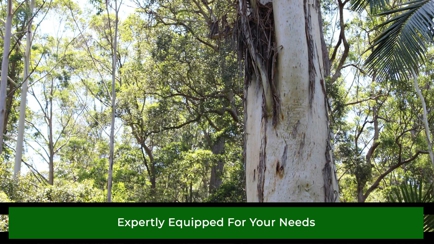 Regal Trees Pty Ltd Hero Image