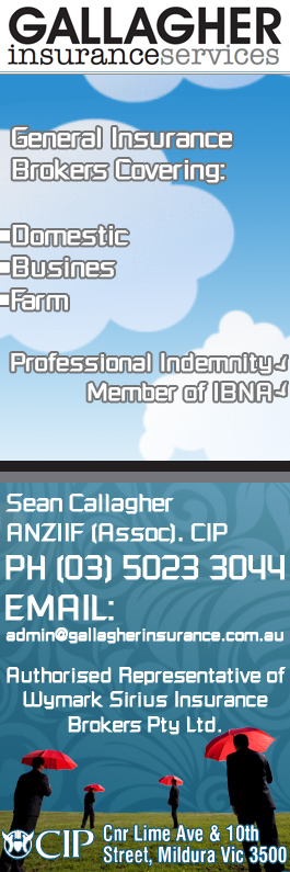 Gallagher Insurance Services