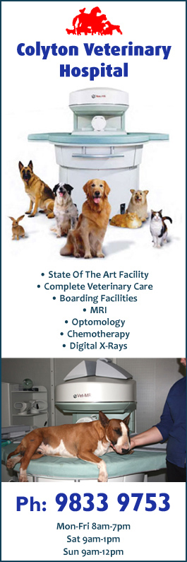 Colyton Veterinary Hospital