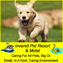 Inverell Pet Resort & Motel