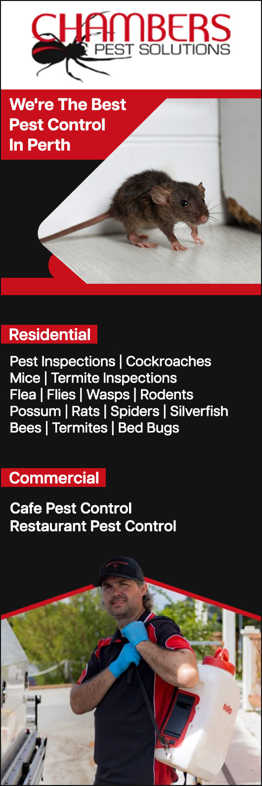 Chambers Pest Solutions