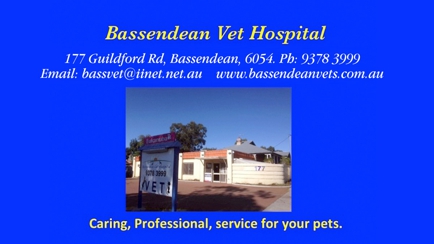 Bassendean Veterinary Hospital Hero Image
