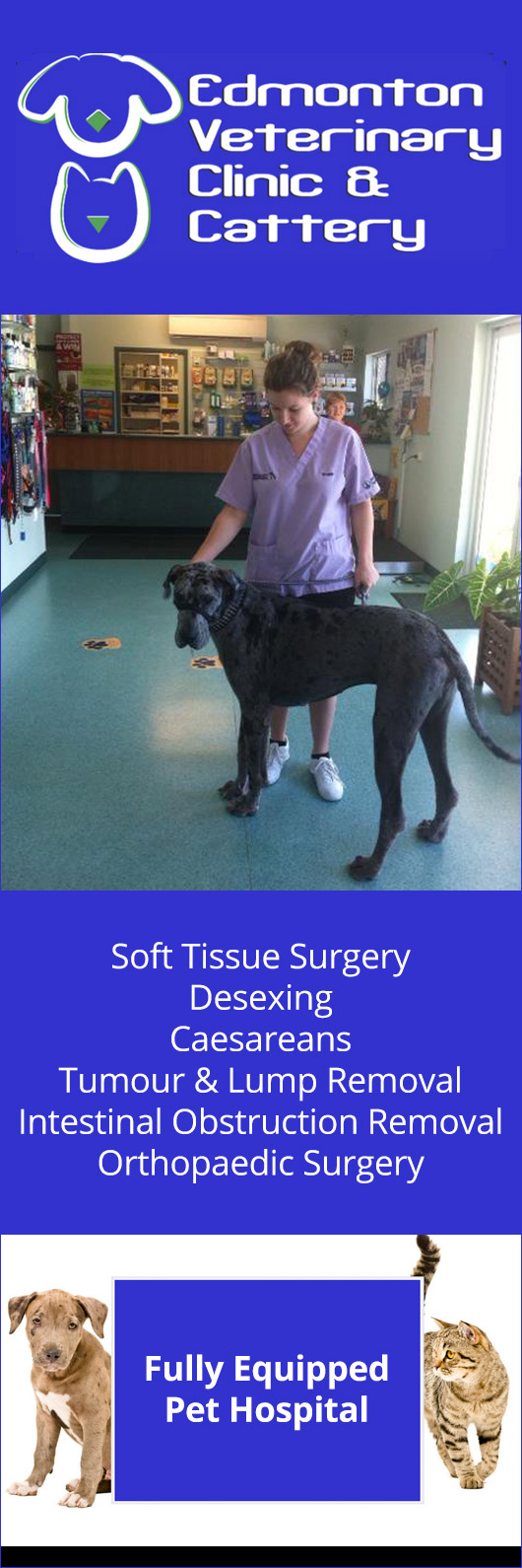Edmonton Vet Clinic & Cattery