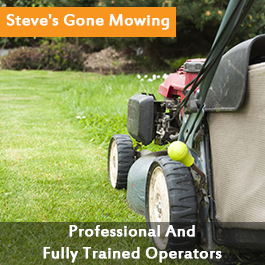 Steve's Gone Mowing