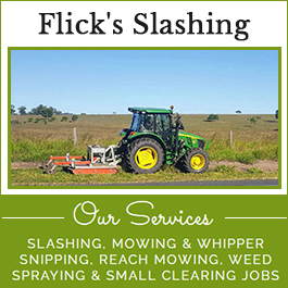 Flick's Slashing