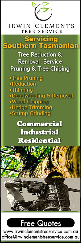 Irwin Clements Tree Service