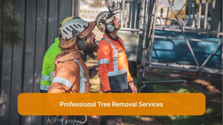 Oliver Shoemark Tree Service Pty Ltd Hero Image