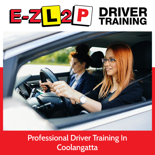 E-Z L2P Driver Training
