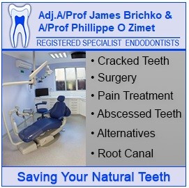 A/Prof Phillippe O Zimet and Adj.A/Prof James Brichko