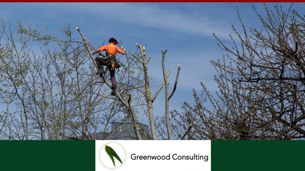 Greenwood Consulting Pty Ltd Hero Image