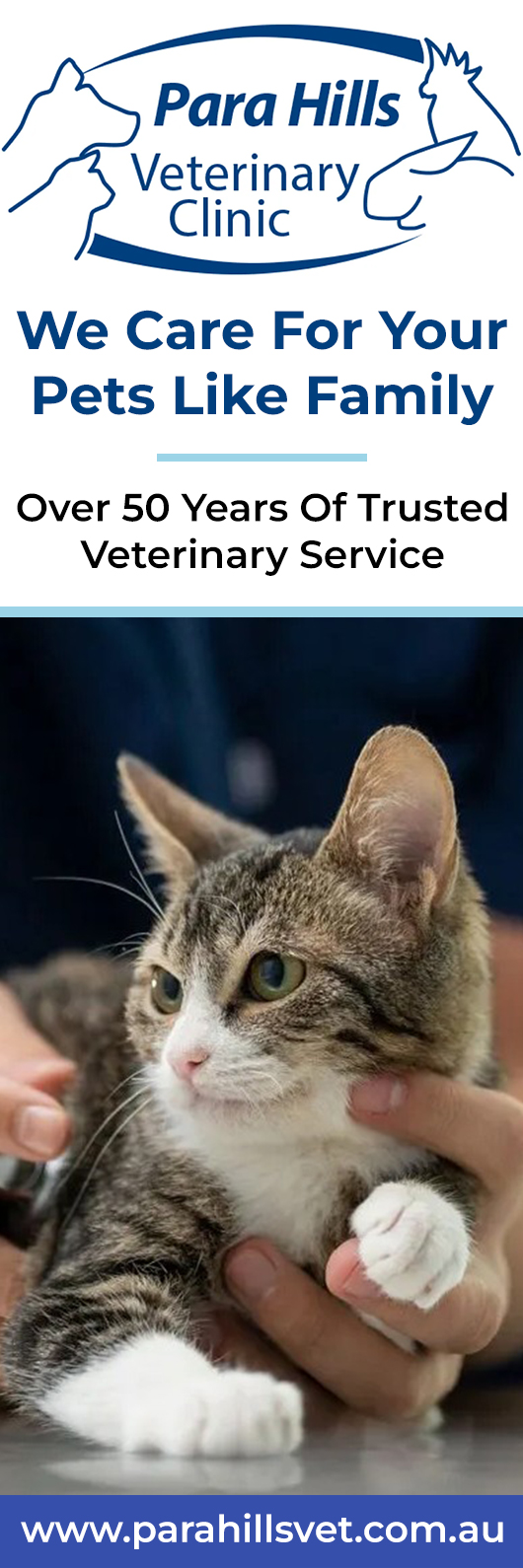 Para Hills Veterinary Clinic
