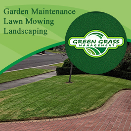 Green Grass Management