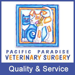 Pacific Paradise Veterinary Surgery
