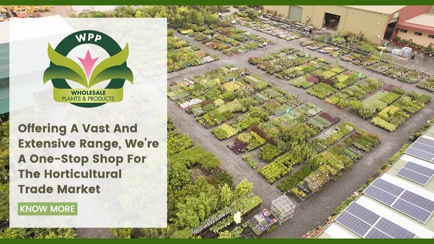 Wholesale Plants & Products Pty Ltd Hero Image