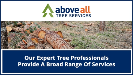 Above All Tree Services Hero Image